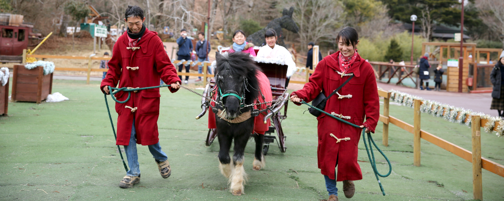 冬限定！馬ソリ開催中