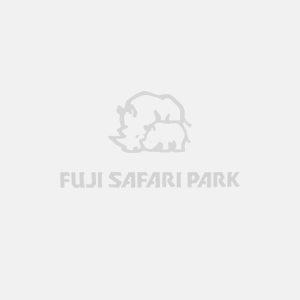 サファリパークの楽しみ方 富士サファリパーク 公式サイト