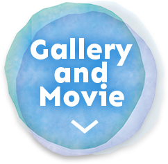 Gallery and Movie
