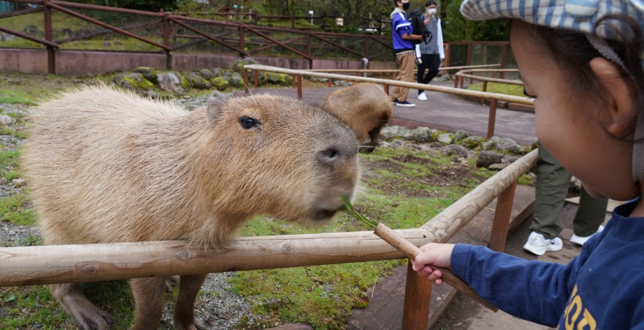 ふれあいゾーン イメージ画像