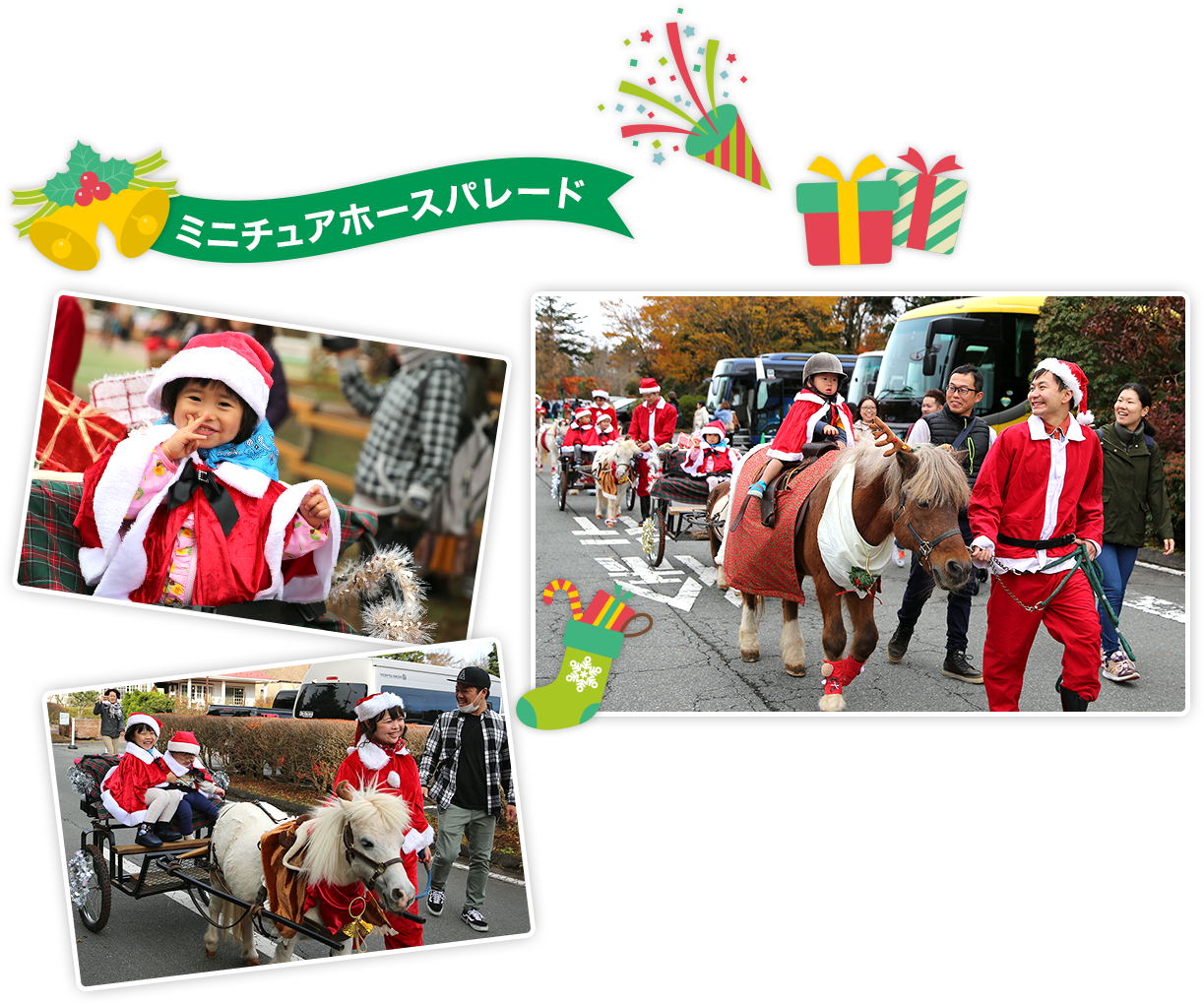 ミニチュアホースパレード クリスマスバージョン♪