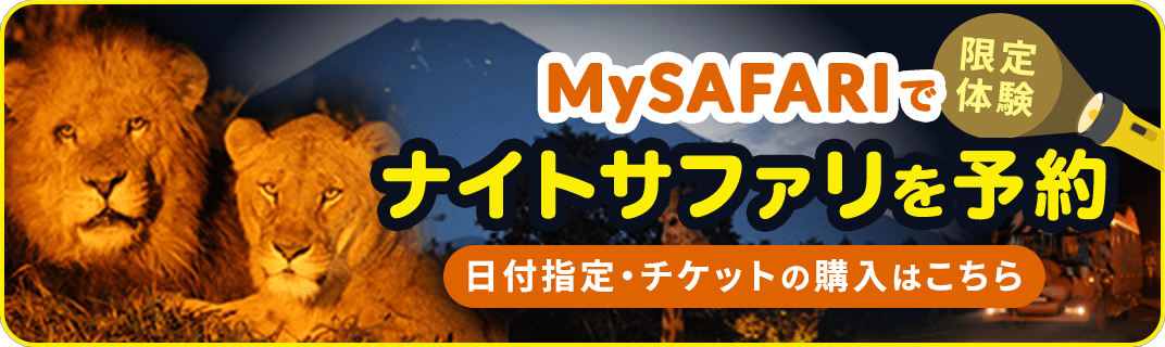 MySAFARIでナイトサファリを予約