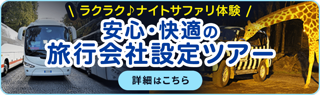 安心・快適の旅行会社設定ツアー