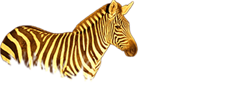 シマウマ