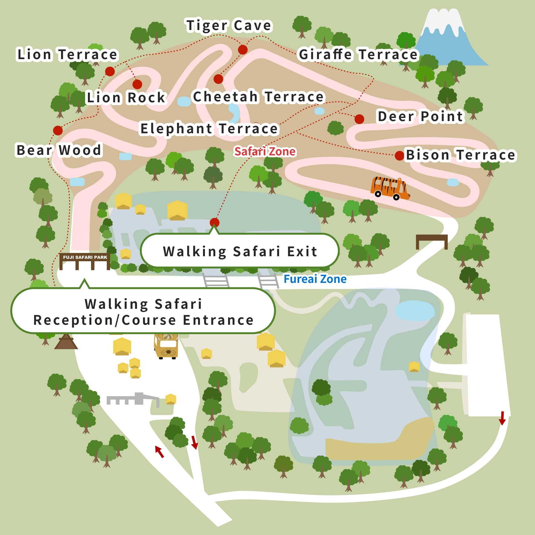 Walking Safari MAP