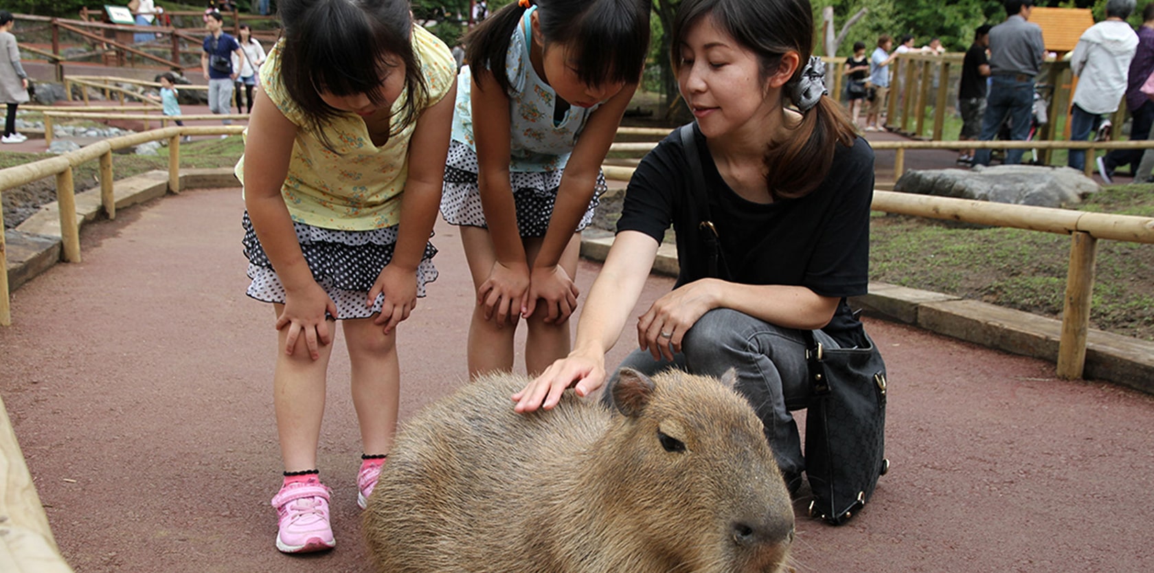 ふれあいゾーンで動物たちと触れ合う