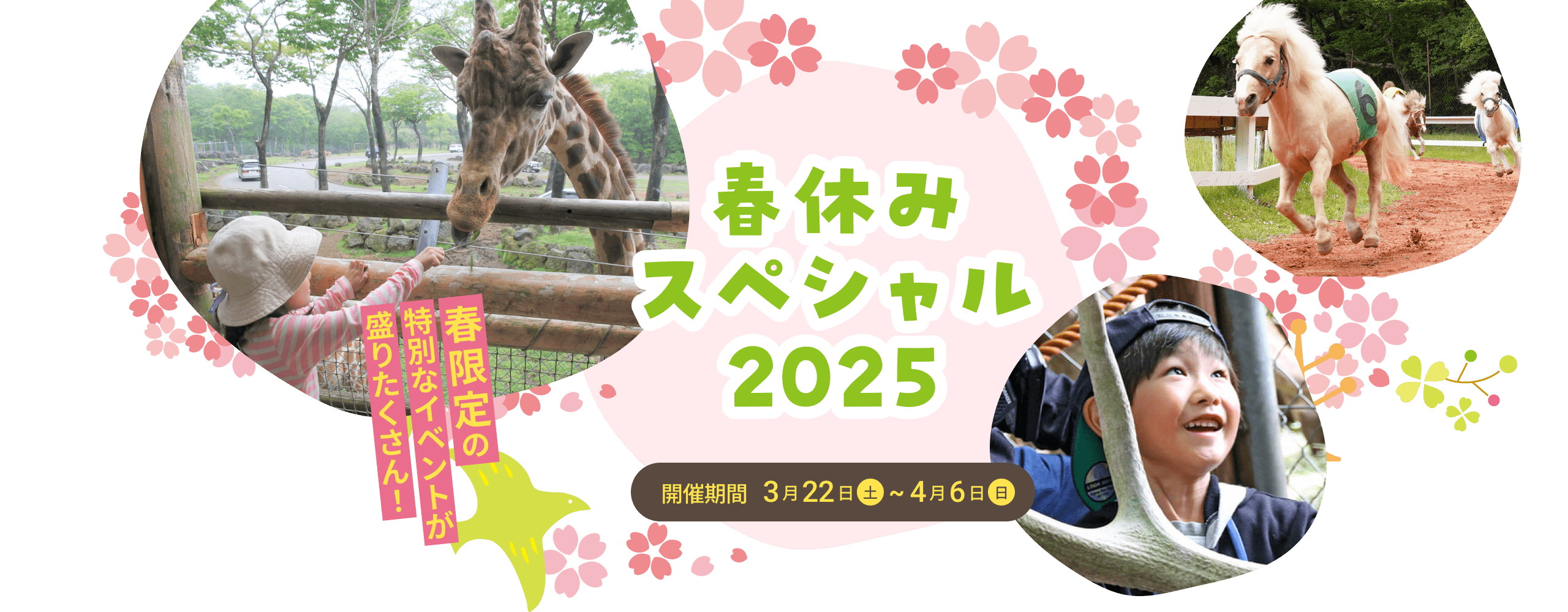 春休みスペシャル2025 3月22日（土）〜4月6日（日）