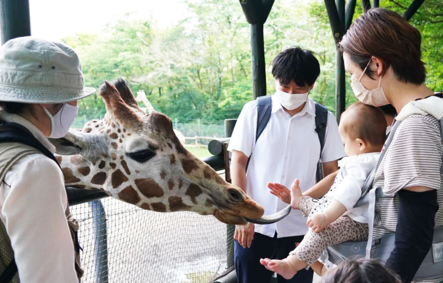 スタッフとめぐる動物探検！