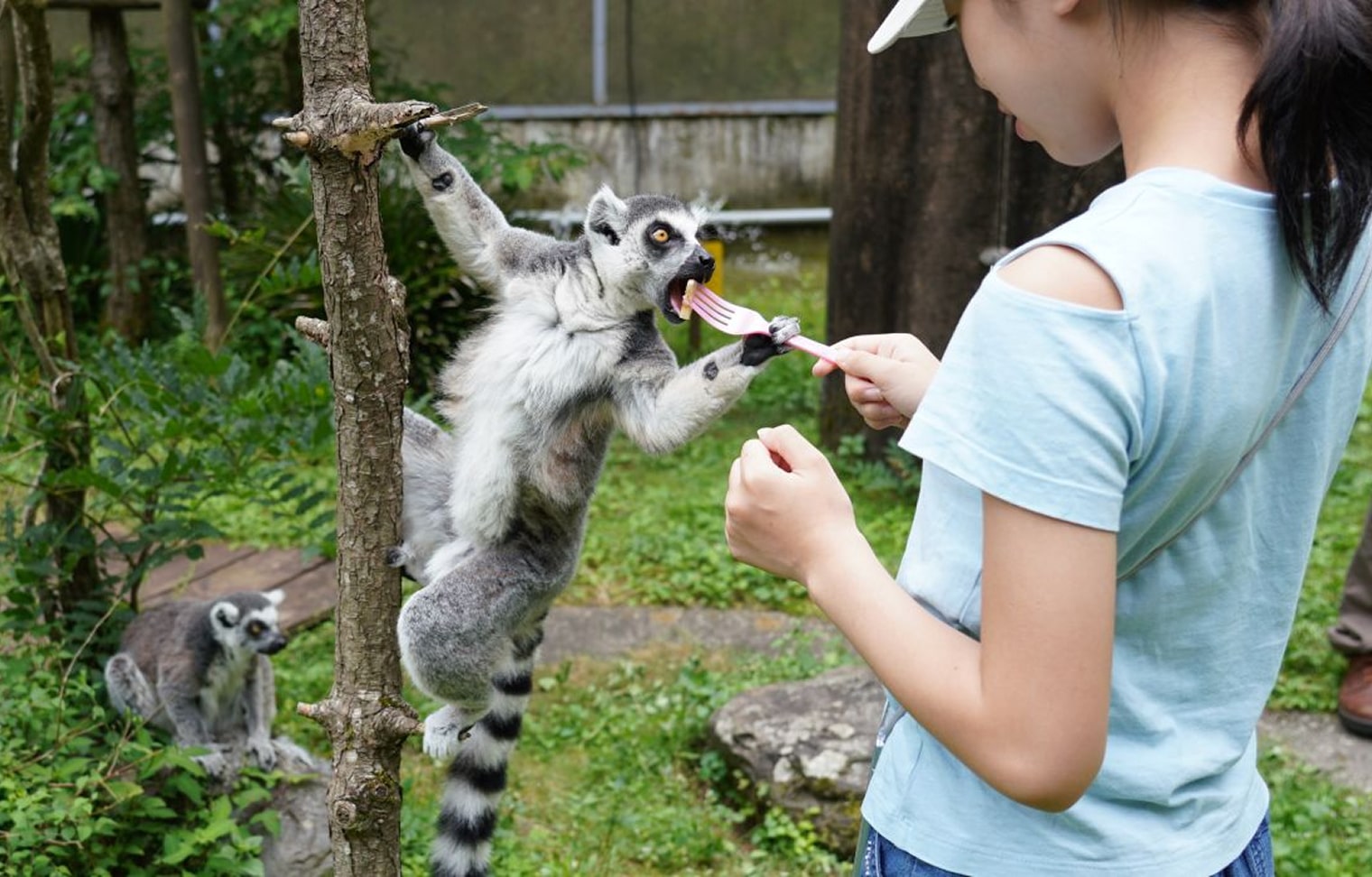 動物に接近して生態観察！