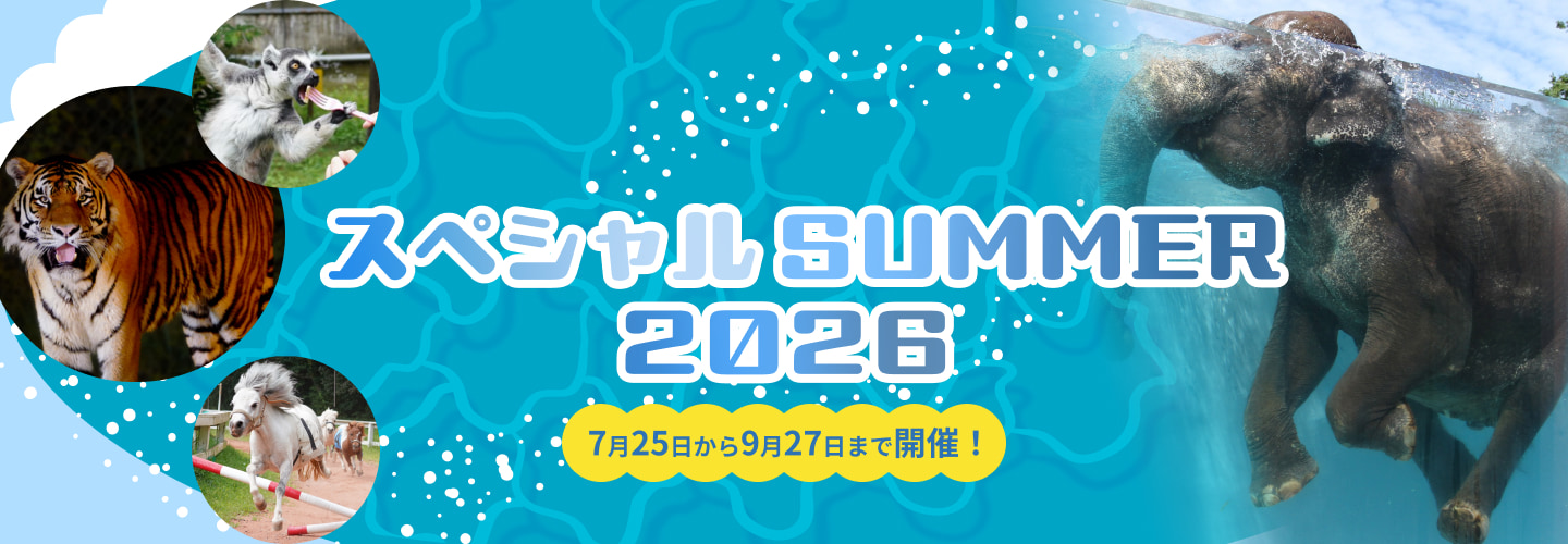 スペシャル SUMMER 2026　7月25日から9月27日まで開催！