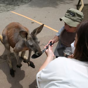 ふれあいゾーンで会える動物たち