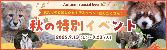 秋の特別イベント2025