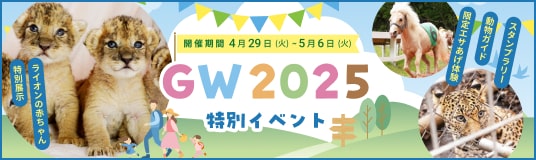 GW2025特別イベント