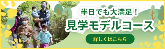 半日でも大満足！富士サファリパーク見学モデルコース