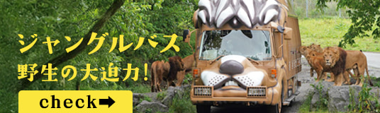 ジャングルバス 野生の大迫力！
