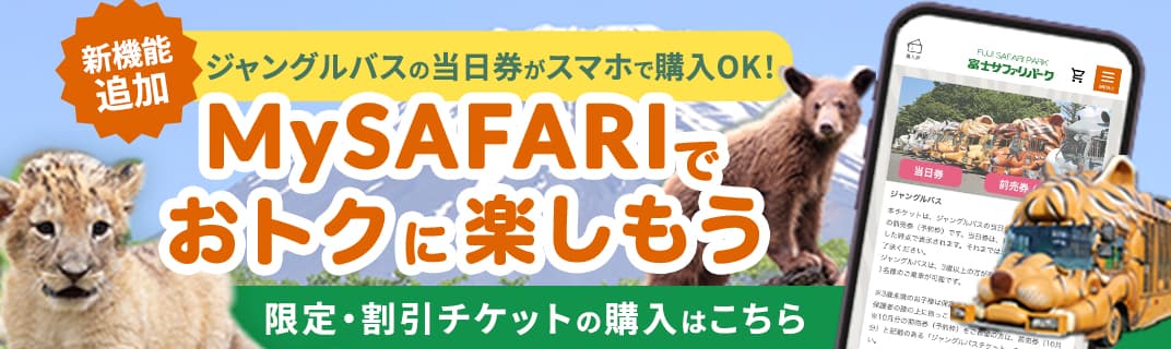 MySAFARIでおトクに富士サファリパークを楽しもう