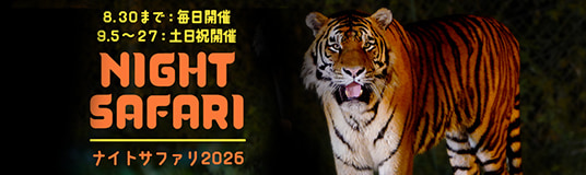 ナイトサファリ2026