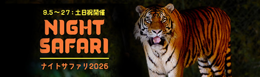 ナイトサファリ2026
