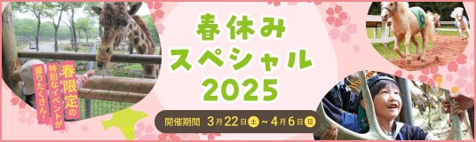 春休みスペシャル2025