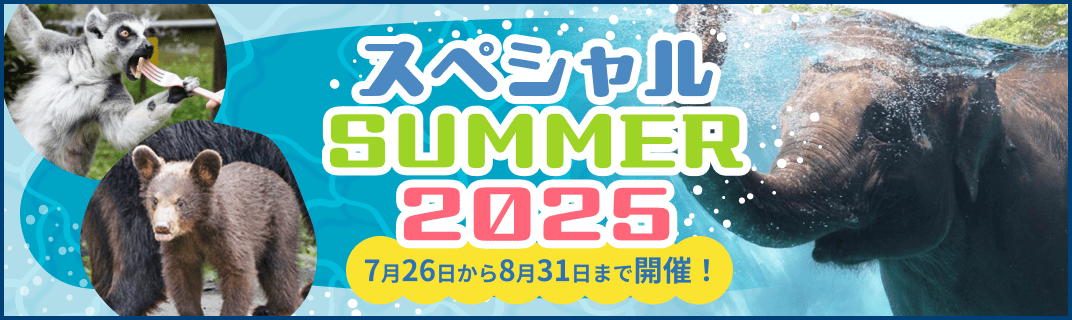スペシャルサマー2025