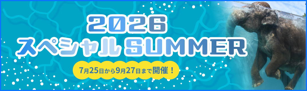 2026スペシャルSUMMER 2026年7月25日〜9月27日