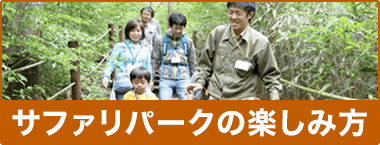 サファリパークの楽しみ方