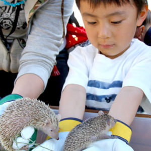 記事「GW限定イベント「かわいい動物大集合！」」の画像