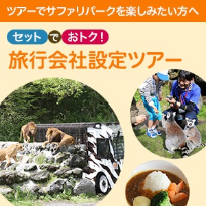 セットでお得！旅行会社設定ツアー