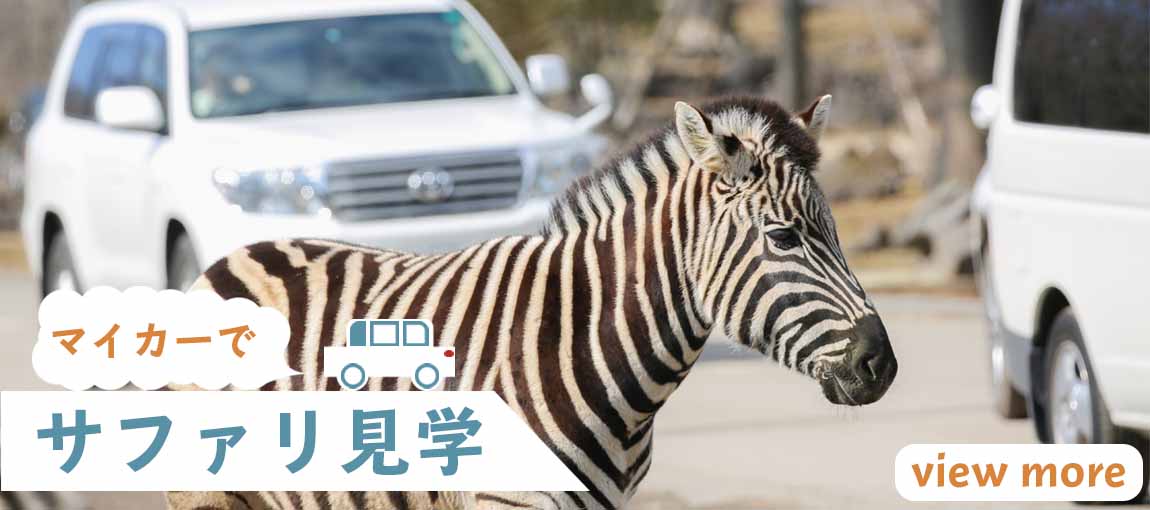 メインイメージ