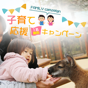 記事「子育て応援(1名無料)キャンペーン!」の画像