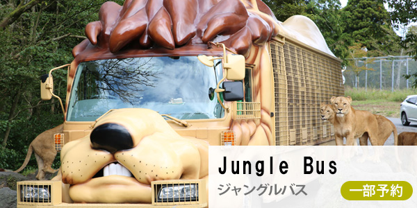 ジャングルバス