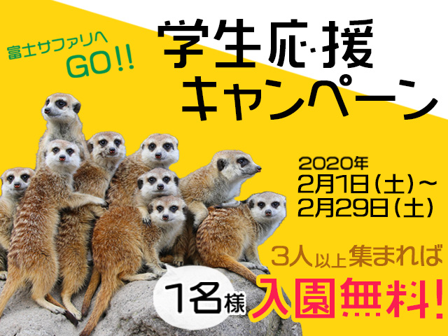 メインイメージ