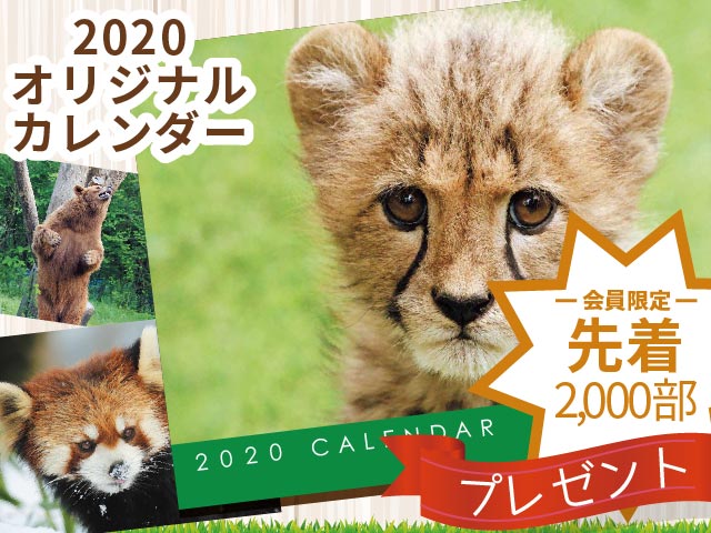 メインイメージ