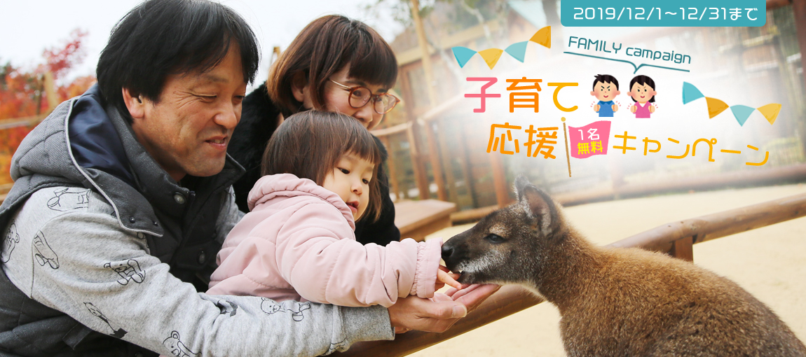 メインイメージ