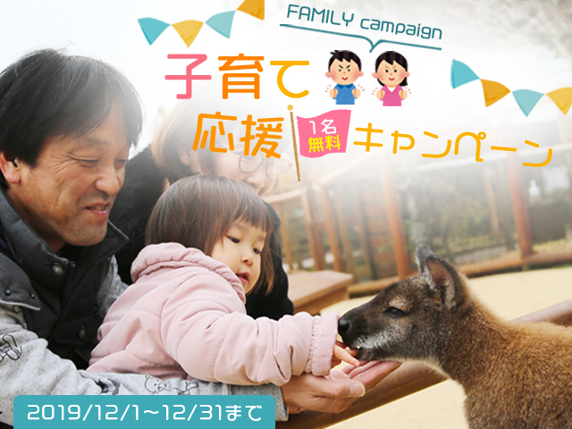 メインイメージ