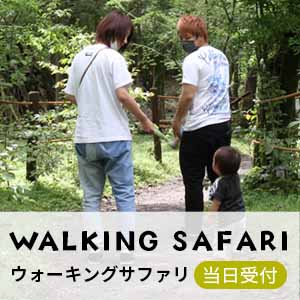 ウォーキングサファリ