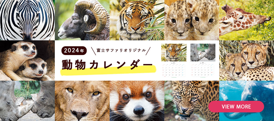 メインイメージ