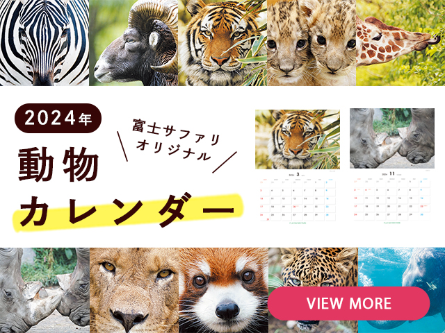 メインイメージ