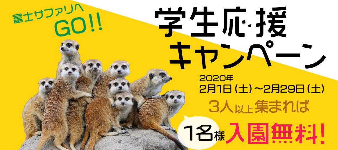 メインイメージ