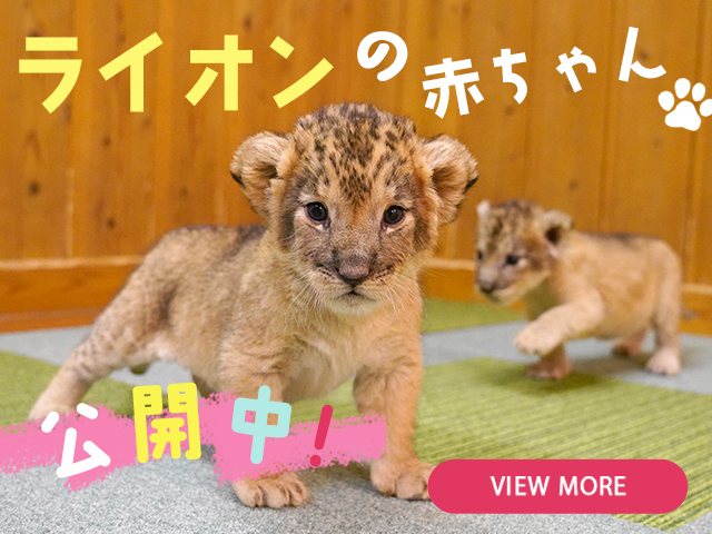 メインイメージ