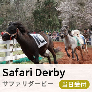 サファリダービー