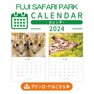 動物カレンダー2024年版