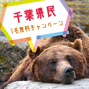 記事「千葉県民1名無料キャンペーン(6月1日から)」の画像