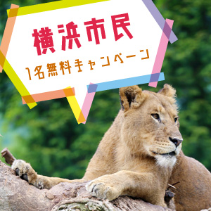 記事「横浜市民1名無料キャンペーン(6月1日から)」の画像