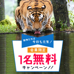 記事「会員限定1名無料キャンペーン(5月31日まで)」の画像