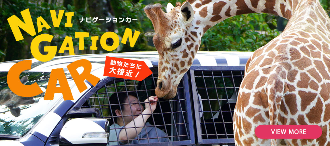 メインイメージ