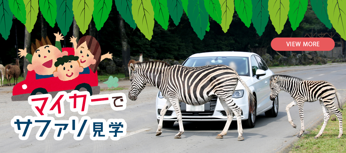 メインイメージ