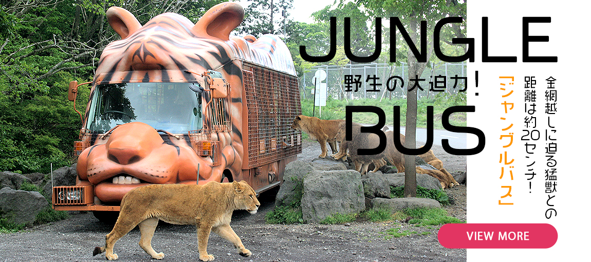 メインイメージ