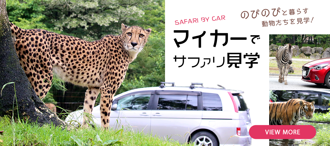 メインイメージ