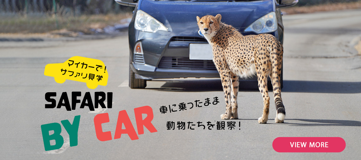 メインイメージ